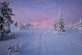 Husky Experience in Arctic Lapland *Kittilä / Levi Meeting Point