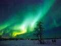 Northern Lights Guarantee Tour, Levi — 70% refund if no Aurora