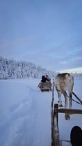 400m REINDEER SLEIGH RIDE ON A TRADITIONAL FARM + GUIDED VISIT TO SANTA CLAUS VILLAGE