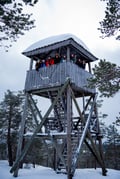 SNOWSHOE EXPERIENCE THROUGH THE SNOWY FOREST