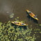 Canoe Trip in Lapland