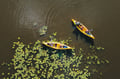 Summer canoeing experience in Lapland