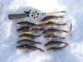 Ice-Fishing By Foot On Lake Ylläsjärvi