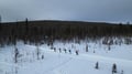 Cross country skiing Experience in Levi
