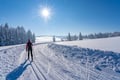 Cross country skiing Experience in Levi
