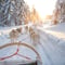 Private - Self-Drive Husky Sled Adventure in Levi (By request)