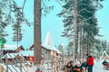 Santa Claus Village Tour