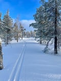 Wilderness skiing to the untouched secret spots