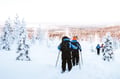 Ski Trekking Adventure in Lapland