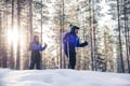 Ski Trekking Safari in Lapland
