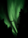 Snowmobile tour: 3 Hour Safari to Search for the Northern Lights in Levi