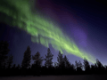 Snowmobile tour: 3 Hour Safari to Search for the Northern Lights in Levi