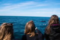 Travelers watching whales from a boat during a Reykjavík tour