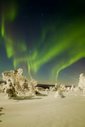 Private Midnight Snowshoe Trip
