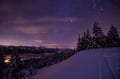 Private Midnight Snowshoe Trip