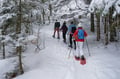 Snowshoe Explorer: Short Journey in Levi