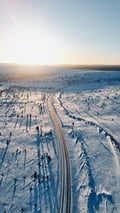 Private Half-Day Snowshoe Adventure
