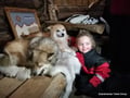 Husky Park Visit & Meet the Movie Star Animals, Levi