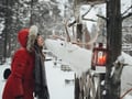 Husky Park and Musher-Driven safari 2 km, Levi