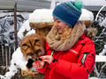 Husky Park and Musher-Driven safari 2 km, Levi
