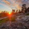Wilderness Survival Tour - Summer & Autumn