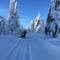 ICE FISHING SAFARI