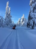 ICE FISHING SAFARI