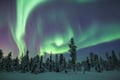 Northern Lights Tour with Finn Horses Sleigh Ride in Lapland