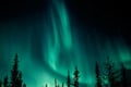 Northern Lights Tour with Finn Horses Sleigh Ride in Lapland