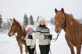 Northern Lights Tour with Finn Horses Sleigh Ride in Lapland