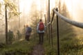 Premium  Arctic Wilderness Hike & Fire-Making in Summer & Autumn