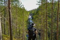 Premium  Arctic Wilderness Hike & Fire-Making in Summer & Autumn