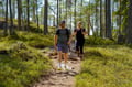 Premium  Arctic Wilderness Hike & Fire-Making in Summer & Autumn