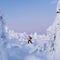 Private - Snowshoeing Adventure In Levi (2h)