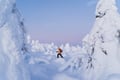 snowshoeing snowshoe winter Finland Lapland wonderland snow