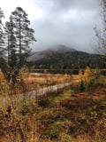 Guided tour to Pyhä-Luosto National park