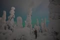 Snowshoeing Adventure by Night (Aurora Borealis Tour)