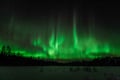 Snowshoeing Adventure by Night (Aurora Borealis Tour)