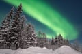 Snowshoeing Adventure by Night (Aurora Borealis Tour)