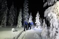 Snowshoeing Adventure by Night (Aurora Borealis Tour)