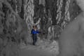 Snowshoeing Adventure by Night (Aurora Borealis Tour)