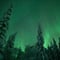 Snowshoeing Adventure by Night (Aurora Borealis Tour)