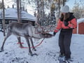 The Longest Reindeer Safari (7km)