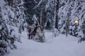 The Longest Reindeer Safari (7km)