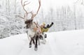 The Longest Reindeer Safari (7km)
