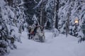 Evening Reindeer Sleigh Ride