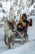The Longest Reindeer Safari (7km)