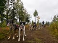 PRE-SEASON Husky Ride 3km