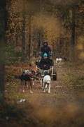 PRE-SEASON Husky Ride 3km