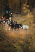 PRE-SEASON Husky Ride 3km